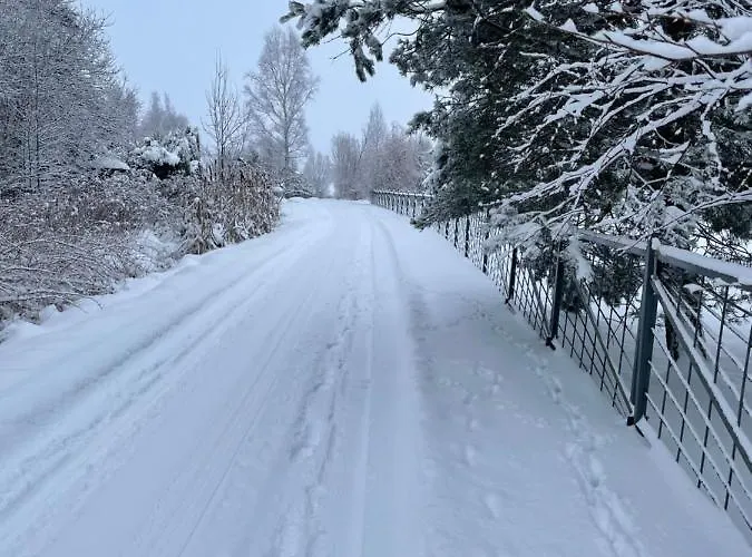 Z Bali Дом отдыха